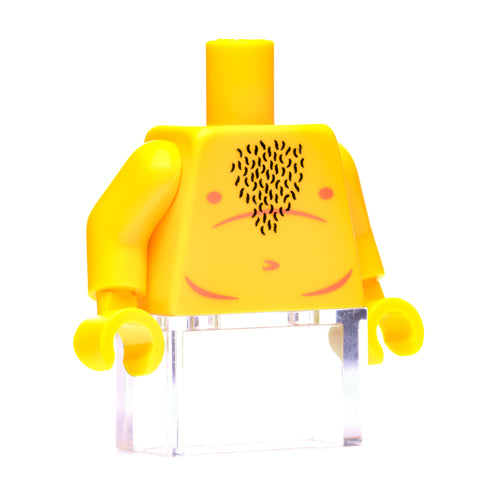 Dad Bod Torso